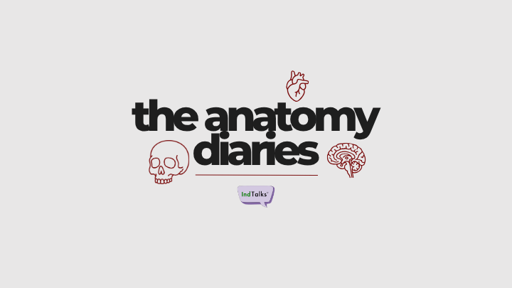 The Anatomy Diaries