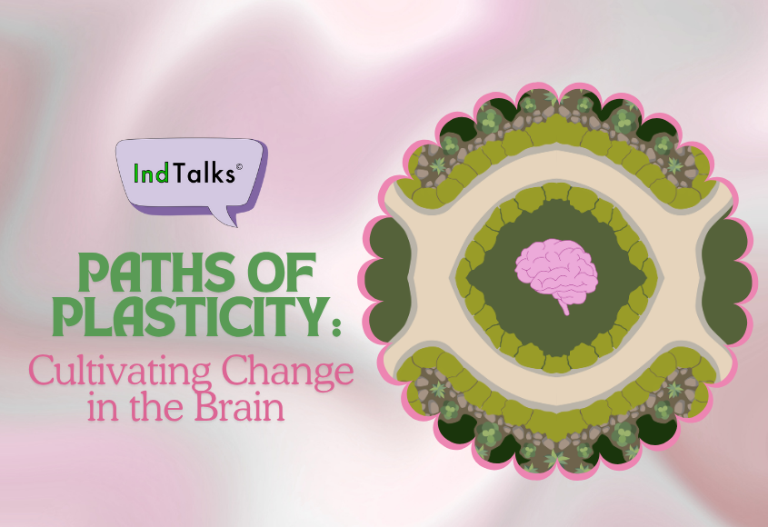 Paths of Plasticity: Cultivating Change in the Brain