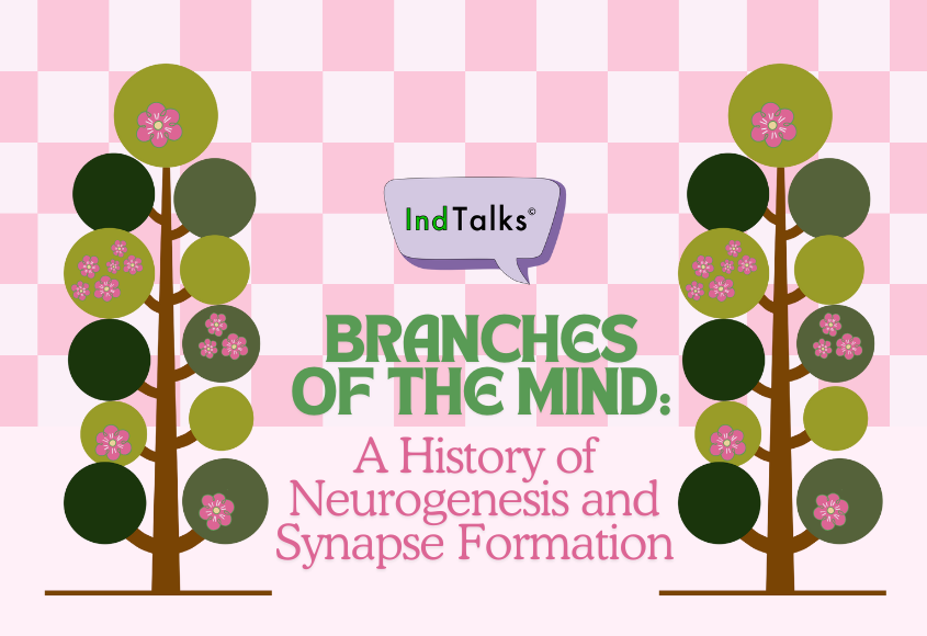 Branches of the Mind: A History of Neurogenesis and Synapse Formation