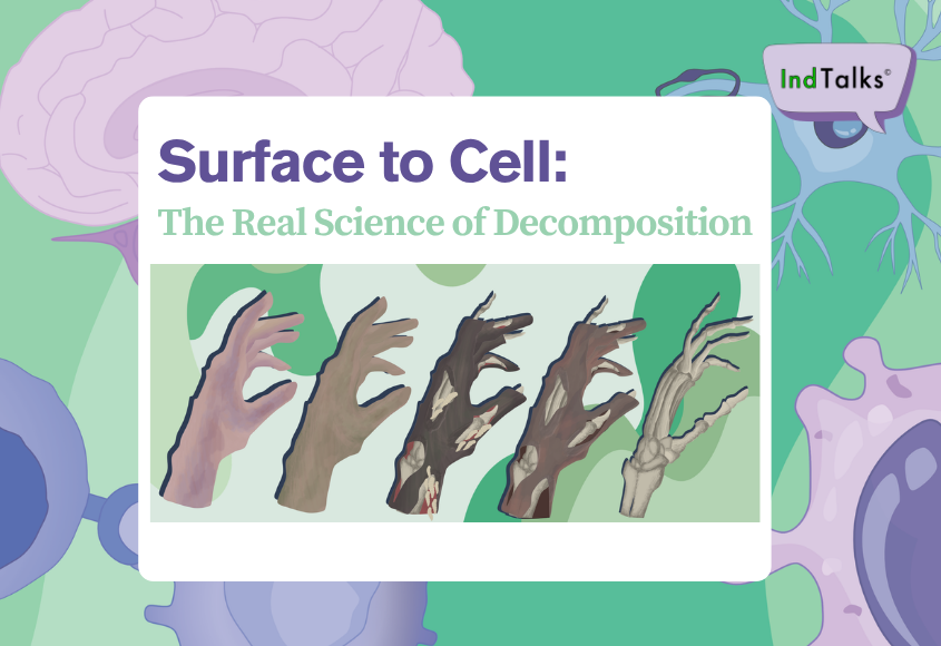 Surface to Cell: The Real Science of Decomposition
